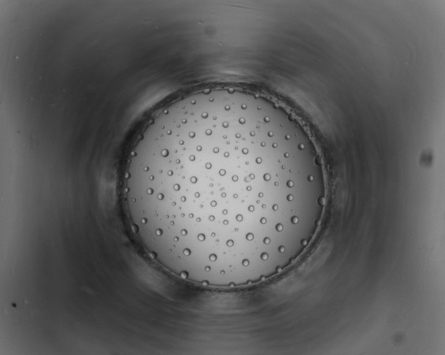 X0000103971402200809261823