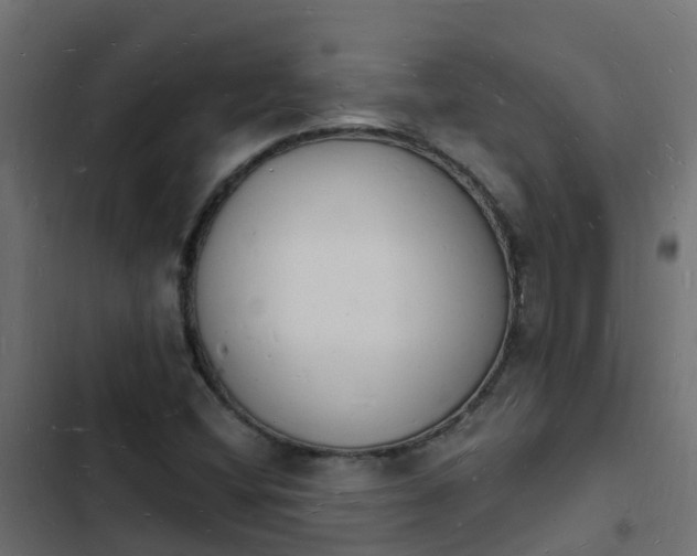 X0000103971404200809261823