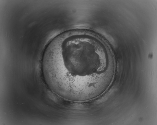 X0000103971405200809261823