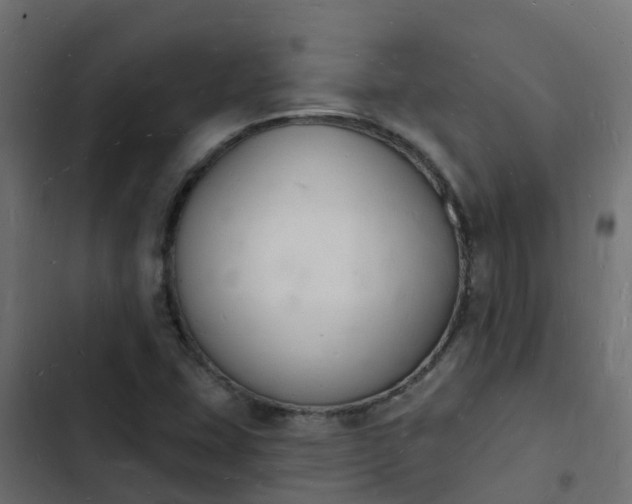 X0000103971407200809261823