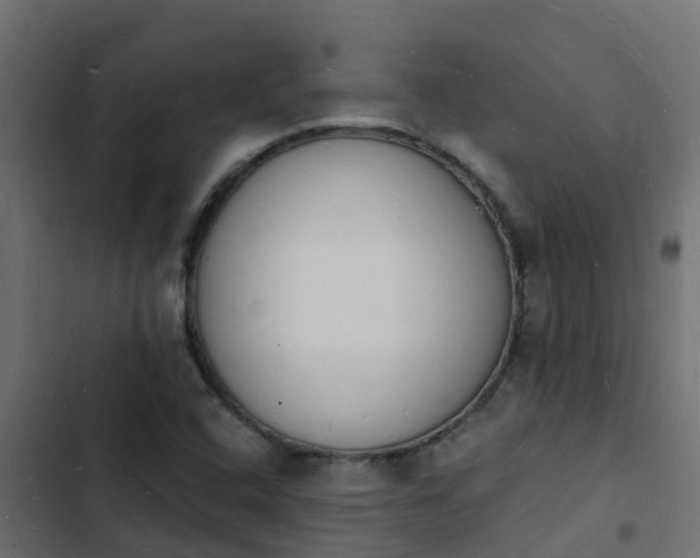 X0000103971408200809261823