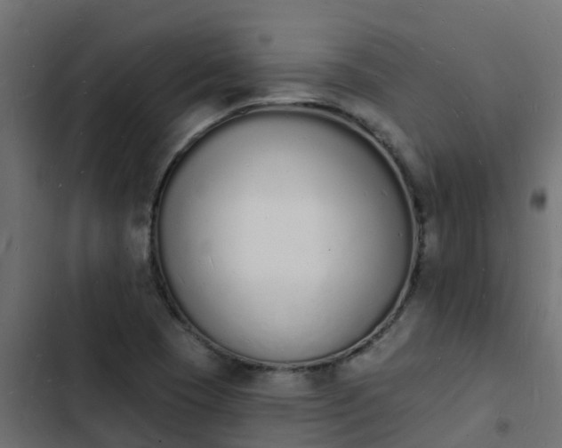 X0000103971409200809261823