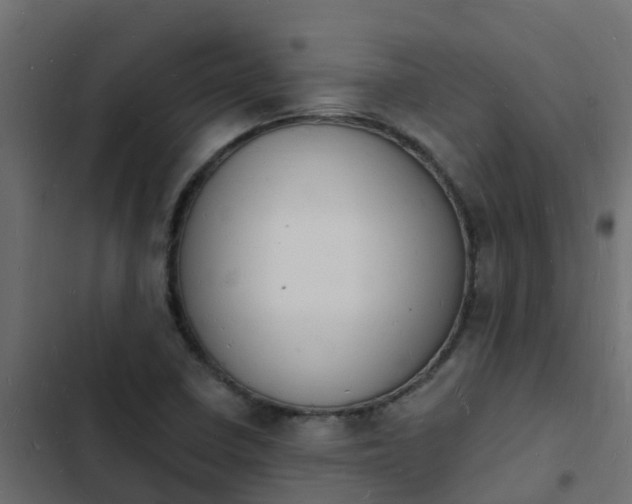 X0000103971410200809261823