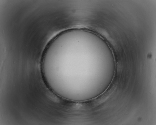 X0000103971412200809261824