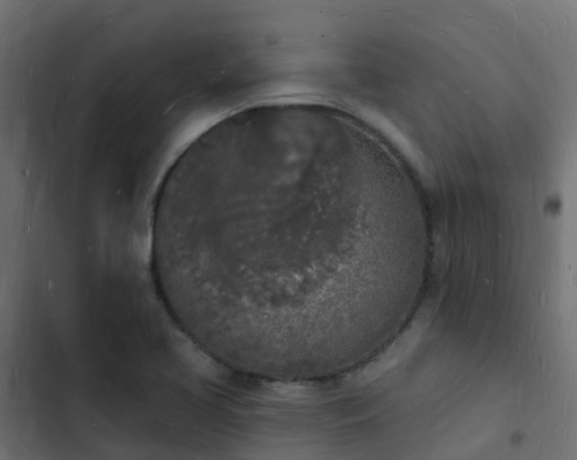 X0000103971413200809261824