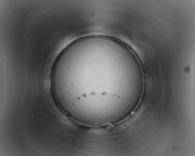 X0000103971415200809261824