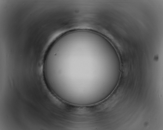 X0000103971416200809261824