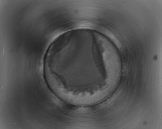 X0000103971419200809261824