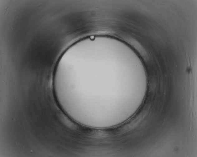 X0000103971420200809261824