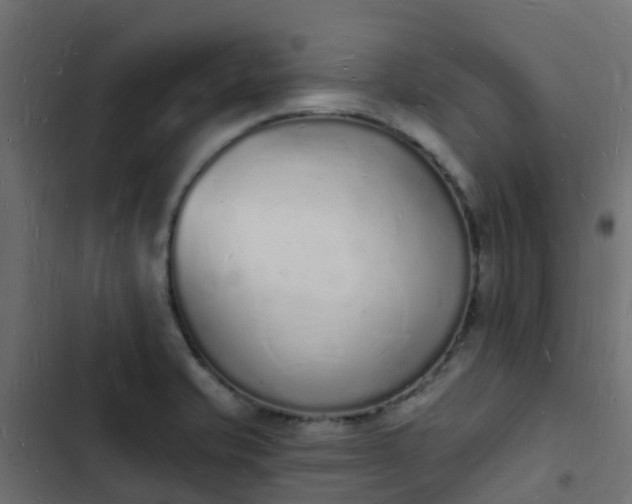 X0000103971421200809261824