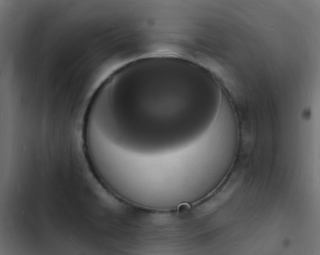 X0000103971422200809261824