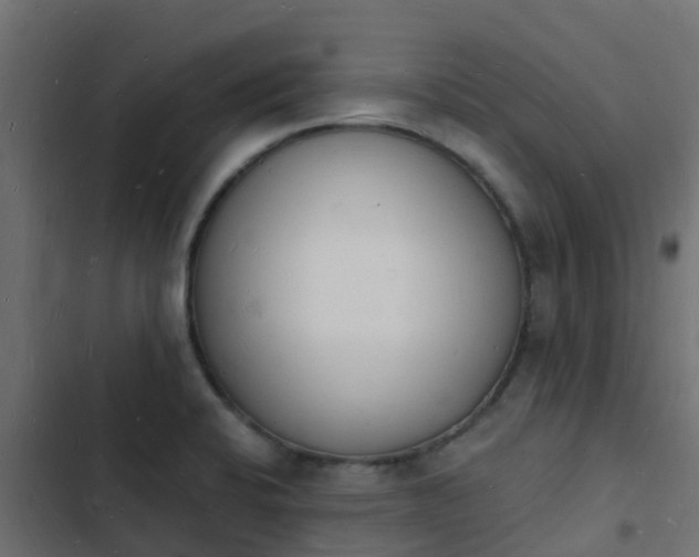 X0000103971424200809261824