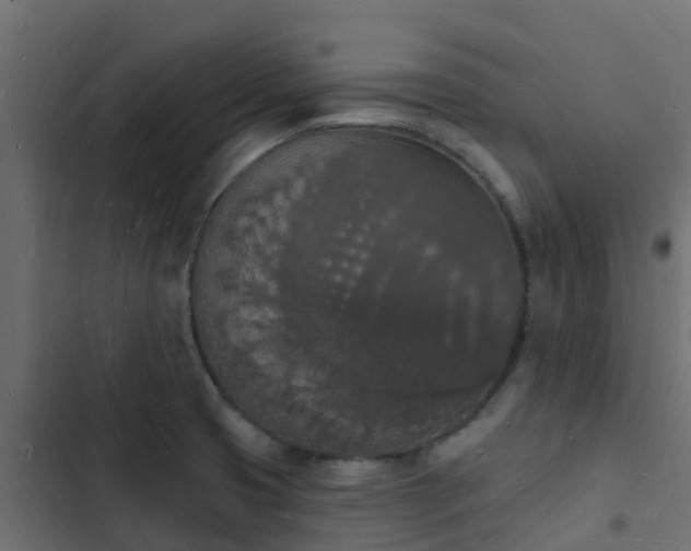 X0000103971425200809261824