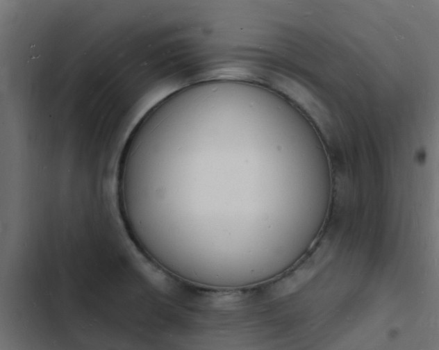 X0000103971426200809261824