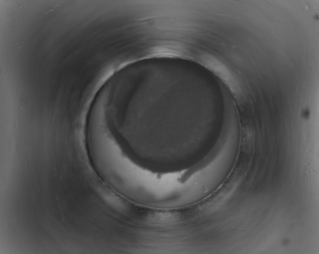 X0000103971427200809261824