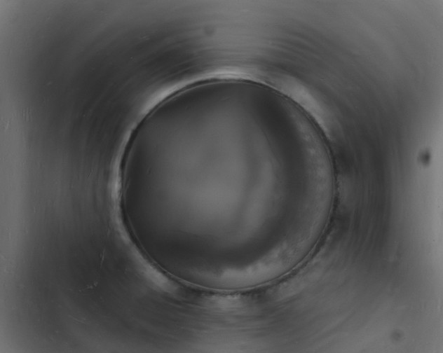 X0000103971428200809261824