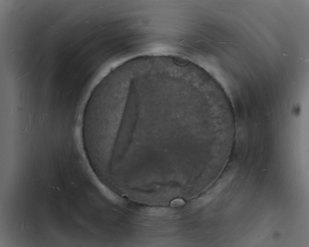 X0000103971429200809261824