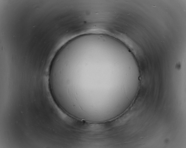 X0000103971430200809261824