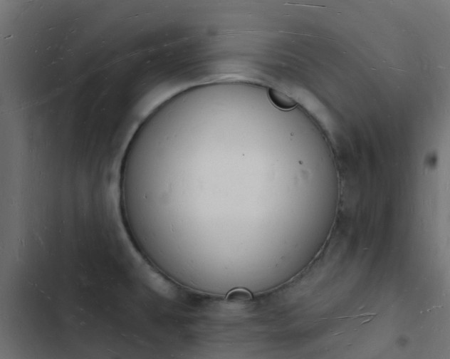 X0000103971431200809261824