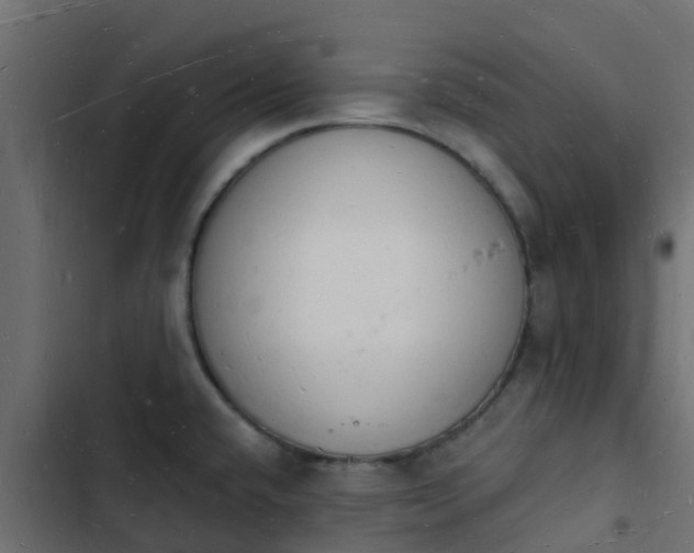 X0000103971432200809261824