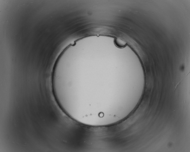 X0000103971434200809261824