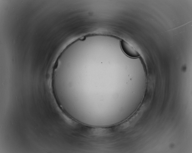 X0000103971437200809261824