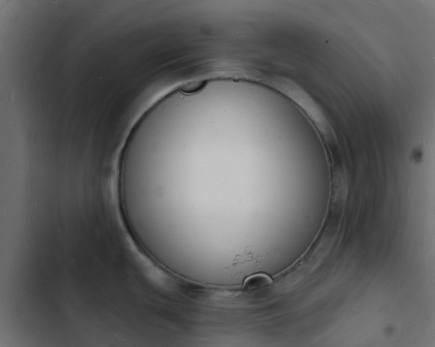 X0000103971439200809261824