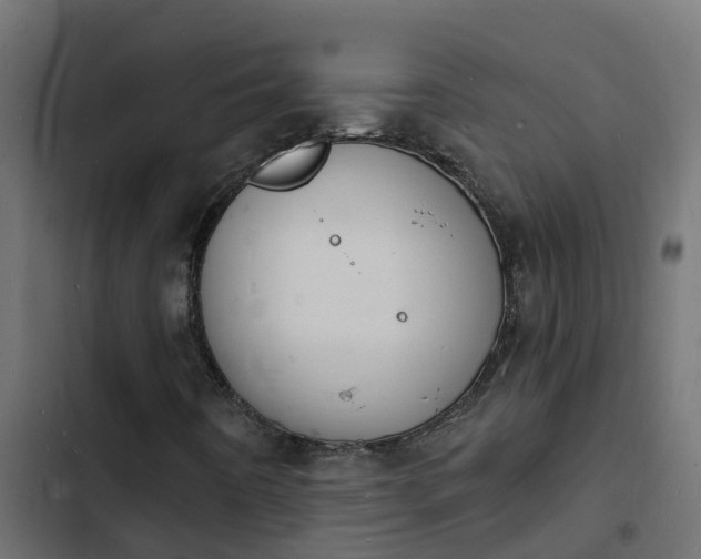 X0000103971442200809261823