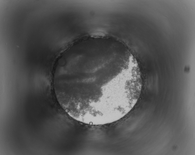 X0000103971445200809261823