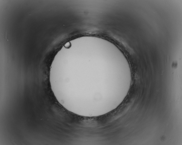 X0000103971447200809261823