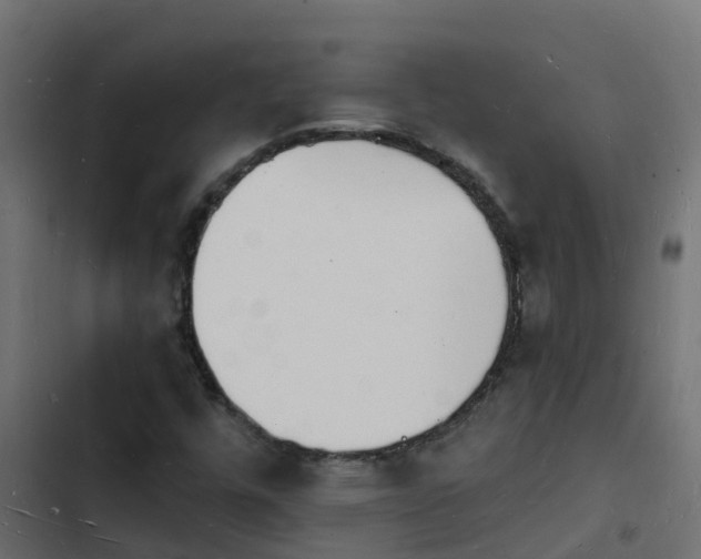 X0000103971448200809261823