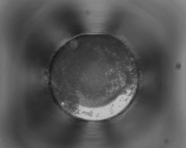 X0000103971449200809261823