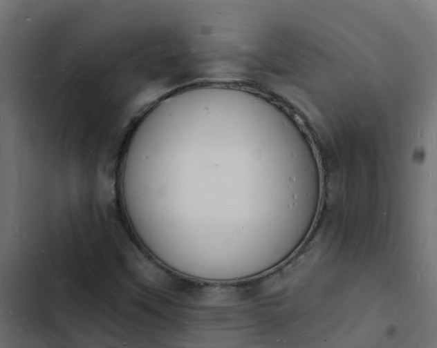 X0000103971451200809261823