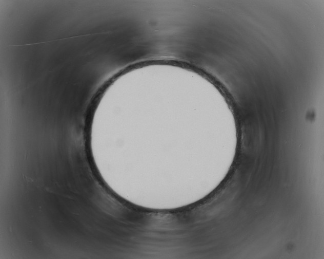 X0000103971452200809261823