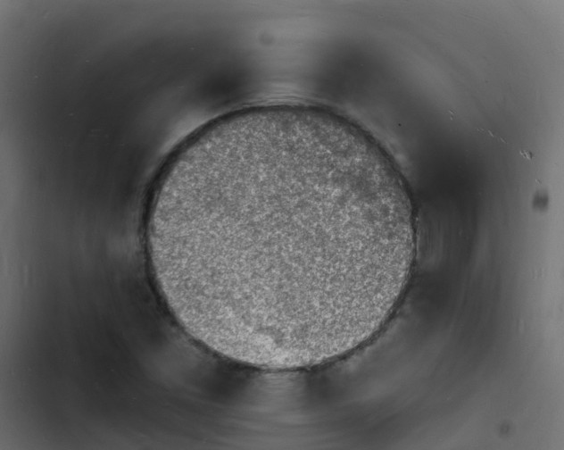 X0000103971453200809261823