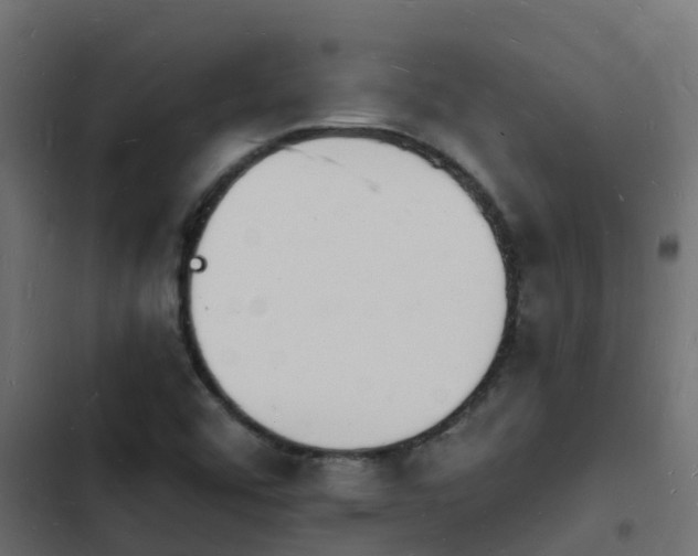 X0000103971456200809261823