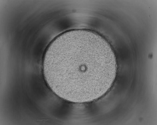 X0000103971457200809261823