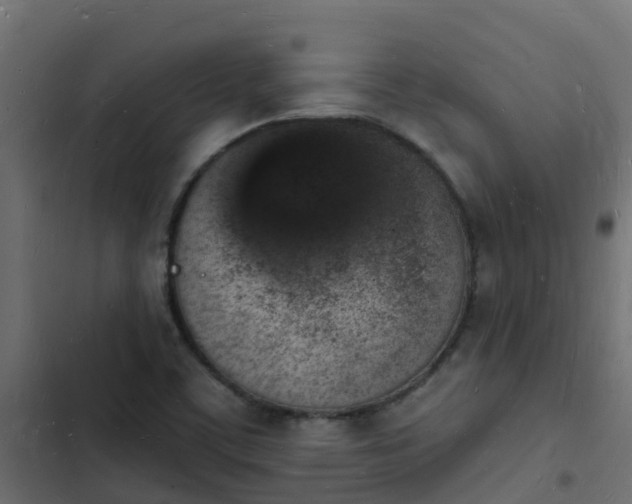 X0000103971459200809261823