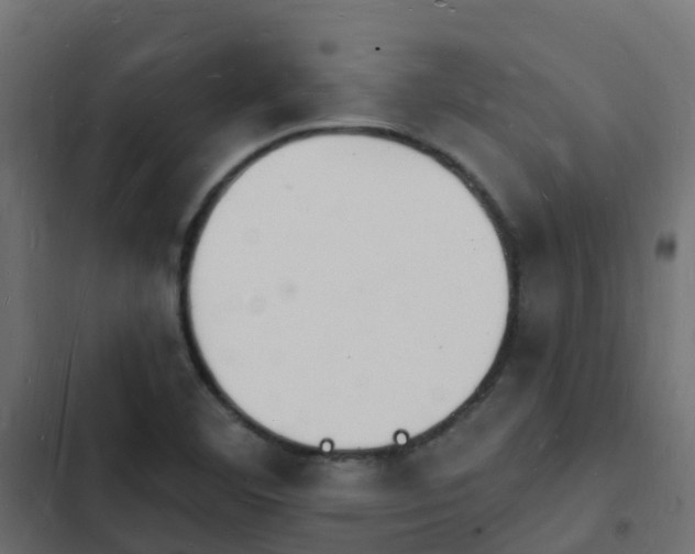 X0000103971460200809261823