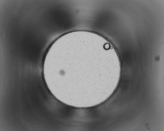 X0000103971461200809261823