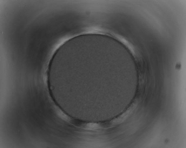 X0000103971463200809261823