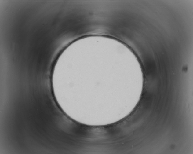 X0000103971464200809261823