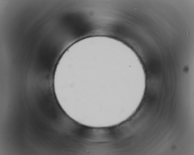 X0000103971465200809261823