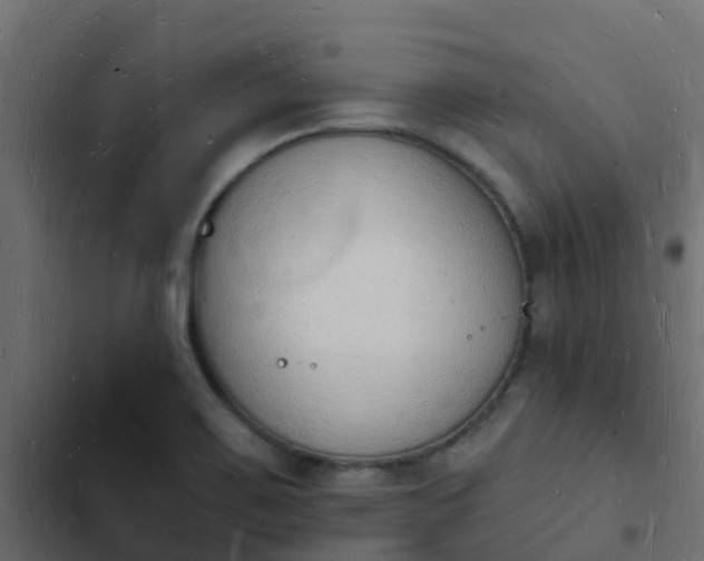 X0000103971467200809261823