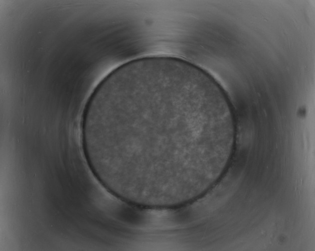 X0000103971468200809261823