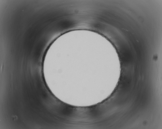 X0000103971469200809261823