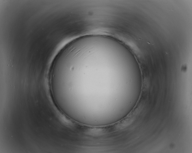 X0000103971470200809261823