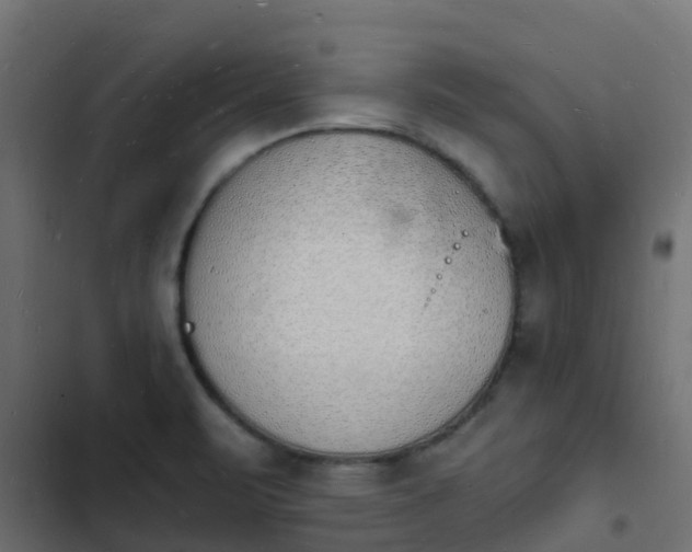 X0000103971471200809261823