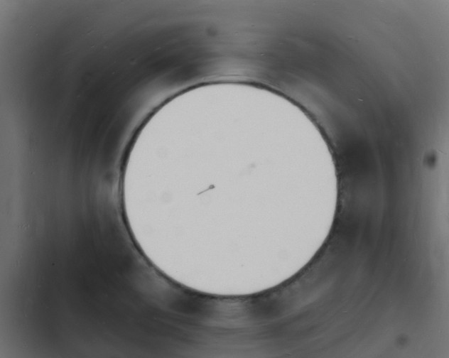 X0000103971472200809261823