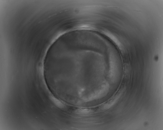 X0000103971474200809261823